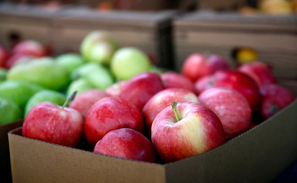 Рост цен на яблоки